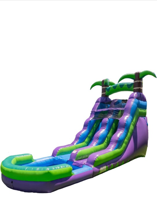 Purple Dragon Water Slide